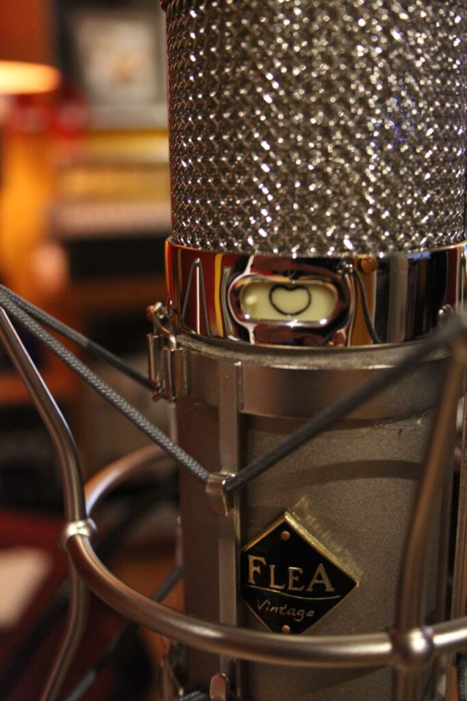 Flea 47 Vintage Mic